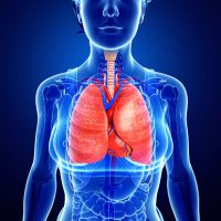 הסיכון לסיבוכים בריאה הטבעית לאחר השתלת ריאה יחידה בחולים עם מחלת ריאות אינטרסטיציאלית (BMC Pulmonary Medicine)