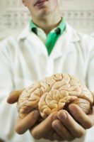 אנורקסיה מלווה בירידה משמעותית בנפח מבנים מוחיים חשובים (Biological Psychiatry)