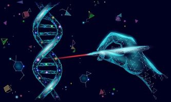 שימוש בטכנולוגיית CRISPER לעריכת DNA כרוך בסיכונים בשל איבוד חומר גנטי ולעלייה בסיכון להתפתחות תאים סרטניים (SCIENCE)