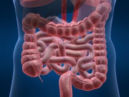 החשיבות הפרוגנוסטית של גרנולומות במערכת העיכול של חולי קרוהן  (Ann Gastroenterol)