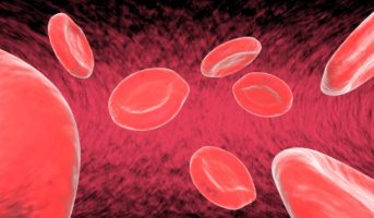 סוג דם שאינו O עלול להעלות סיכון ל-VTE בחולי סרטן (blood advances)