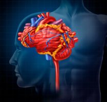 עדיפות להוספת Ticagrelor לעומת Clopidogrel לטיפול באספירין בחולים לאחר אירוע מוחי איסכמי מינורי או התקף איסכמי חולף עם היצרות עורק תוך-גולגולתי (J Am Heart Assoc)