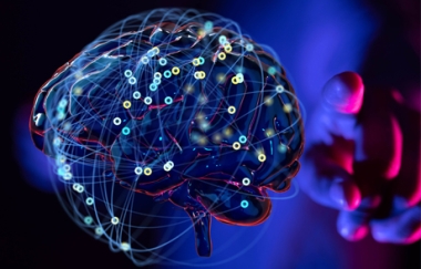 שילוב ADHD עם מחלות רקע עשוי להביא לעליה בסיכון להתנהגות פושעת (Int J Law and Psychiatry)
