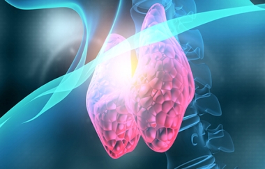 Goal-Directed Treatment for Osteoporosis & Updates on Anabolic Therapies – הקלטת המפגש